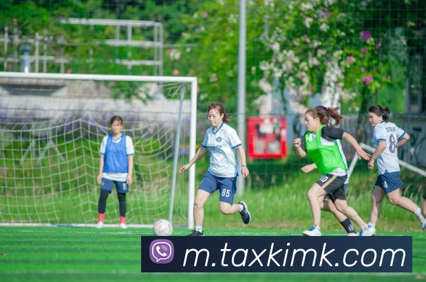奖项证书